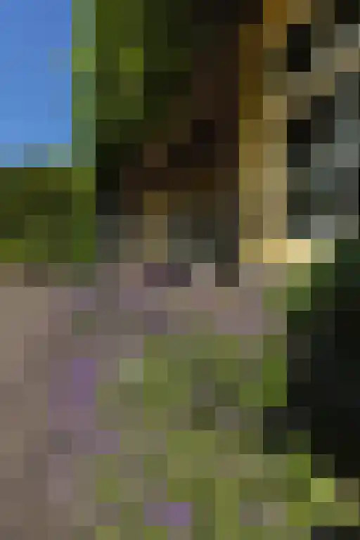 Torenlaan 64 Laren thumbnail 22