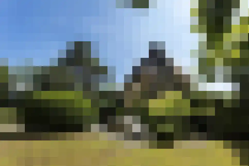 Torenlaan 64 Laren thumbnail 23
