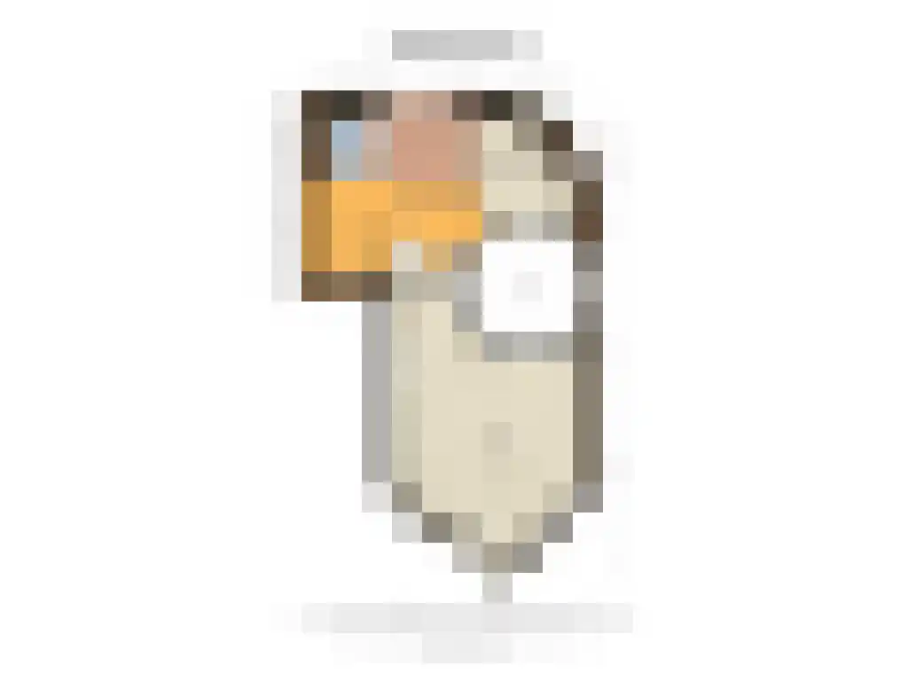 Torenlaan 64 Laren thumbnail 27