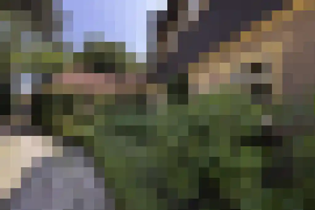 Torenlaan 64 Laren thumbnail 4