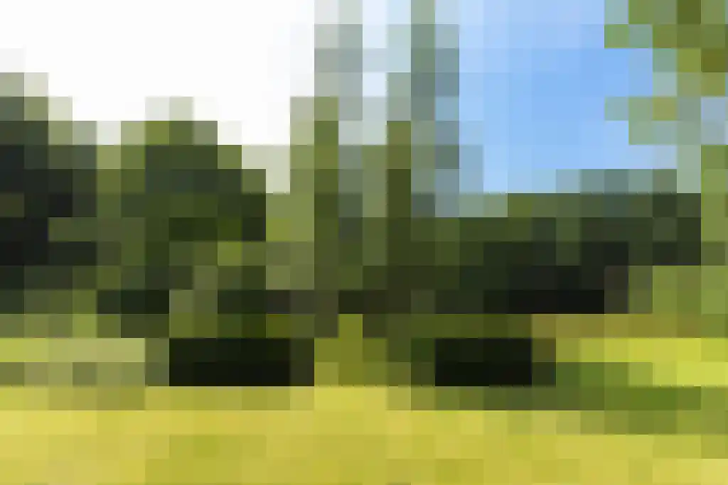 Torenlaan 64 Laren thumbnail 7