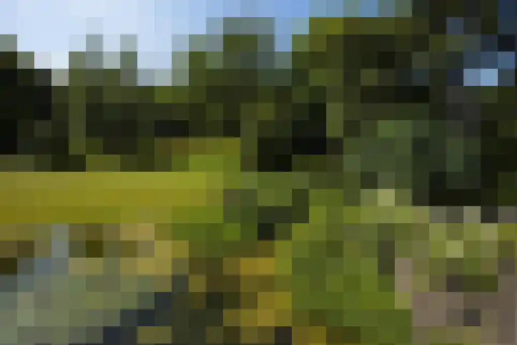 Torenlaan 64 Laren thumbnail 9