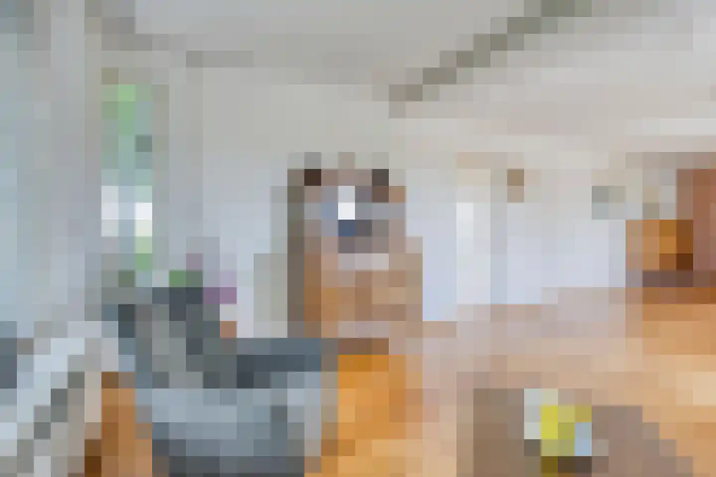Torenlaan 7 Voorhout thumbnail 11