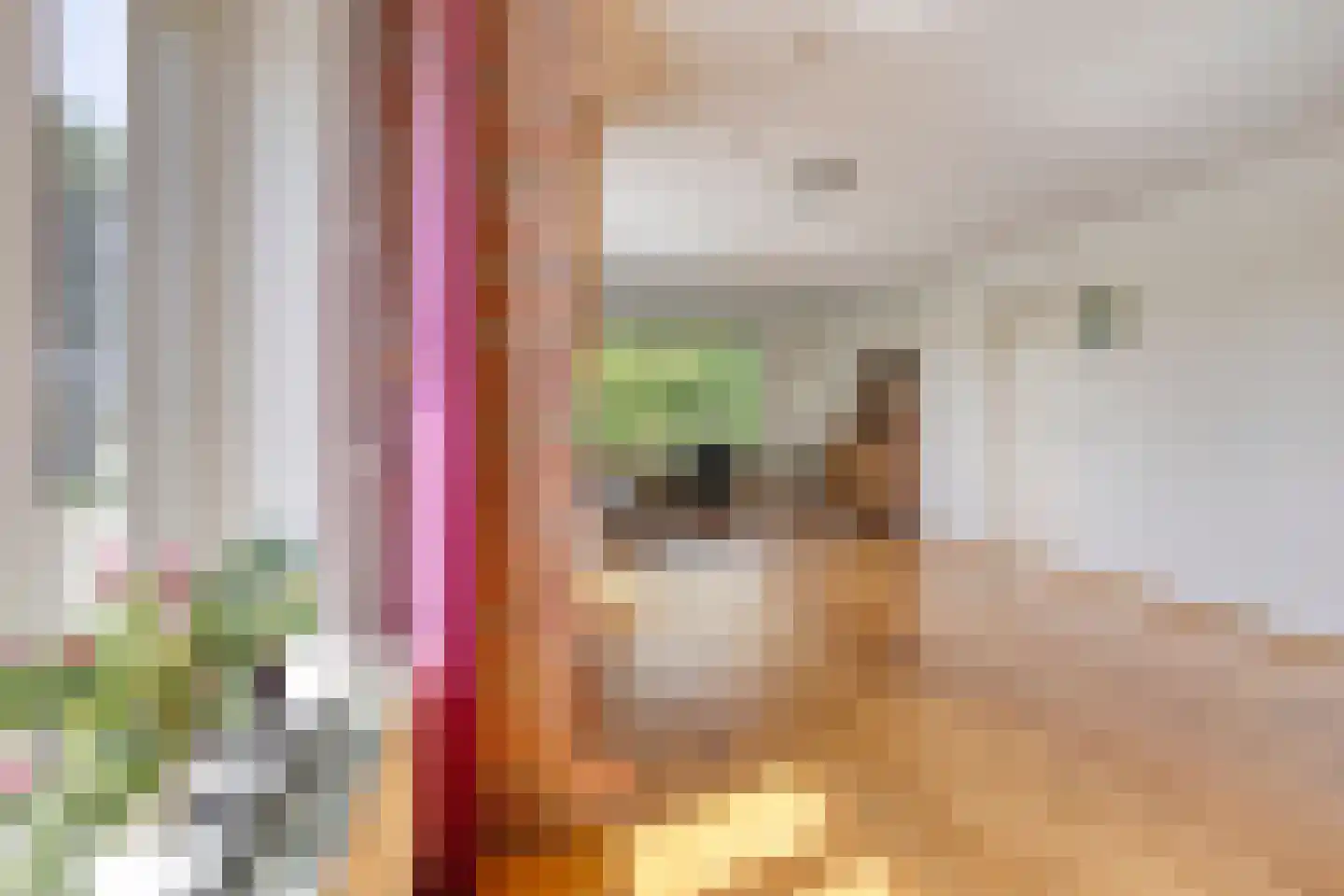 Torenlaan 7 Voorhout thumbnail 15