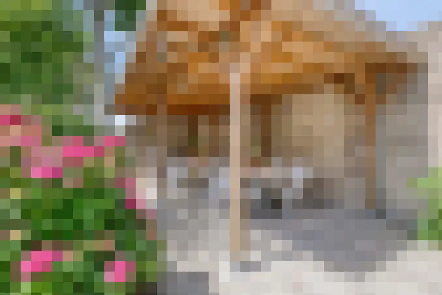 Torenlaan 7 Voorhout thumbnail 33