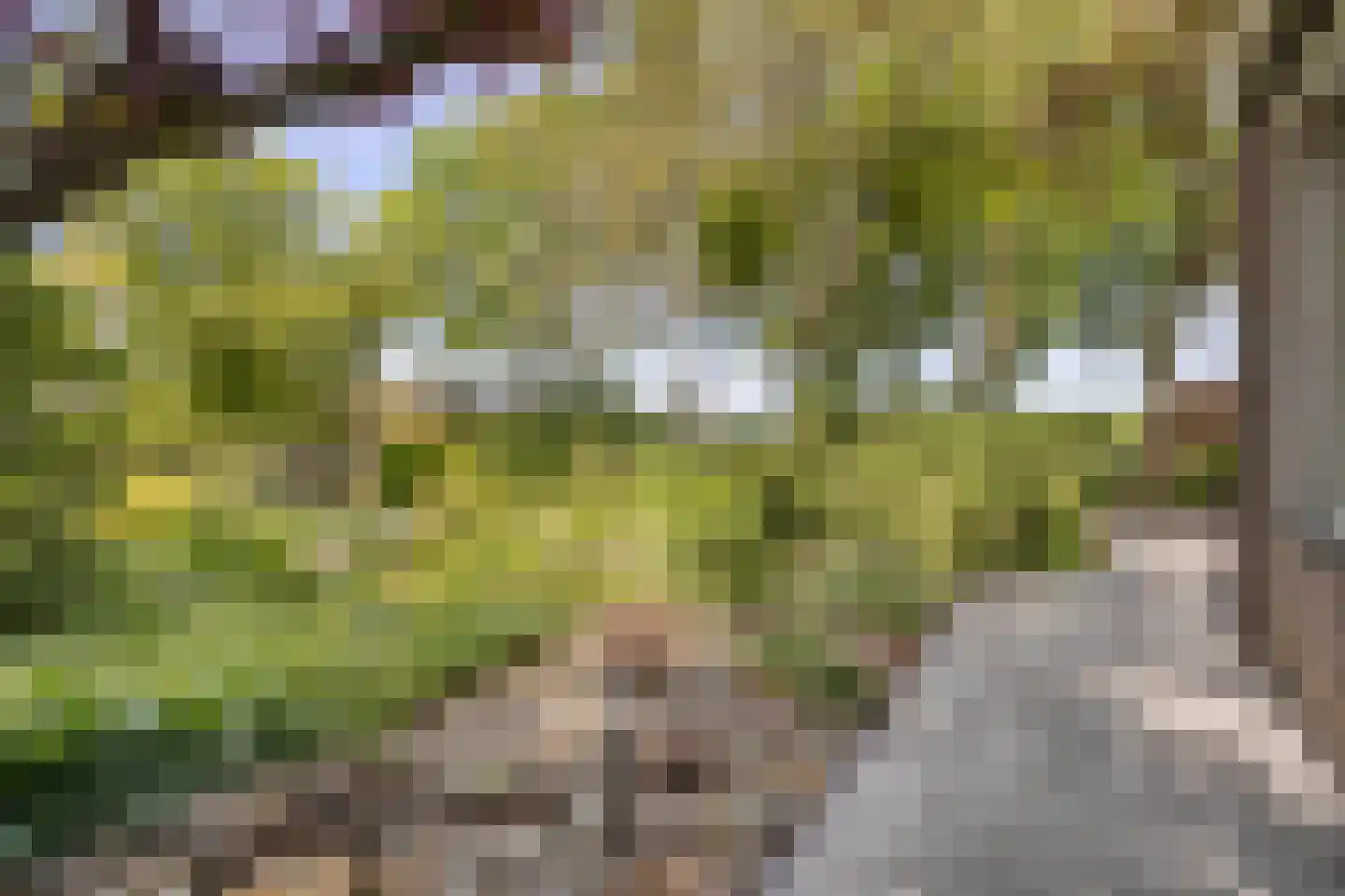 Torenlaan 7 Voorhout thumbnail 37