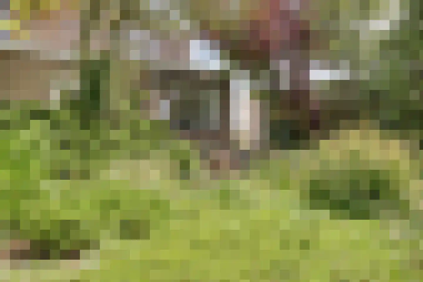 Torenlaan 7 Voorhout thumbnail 39