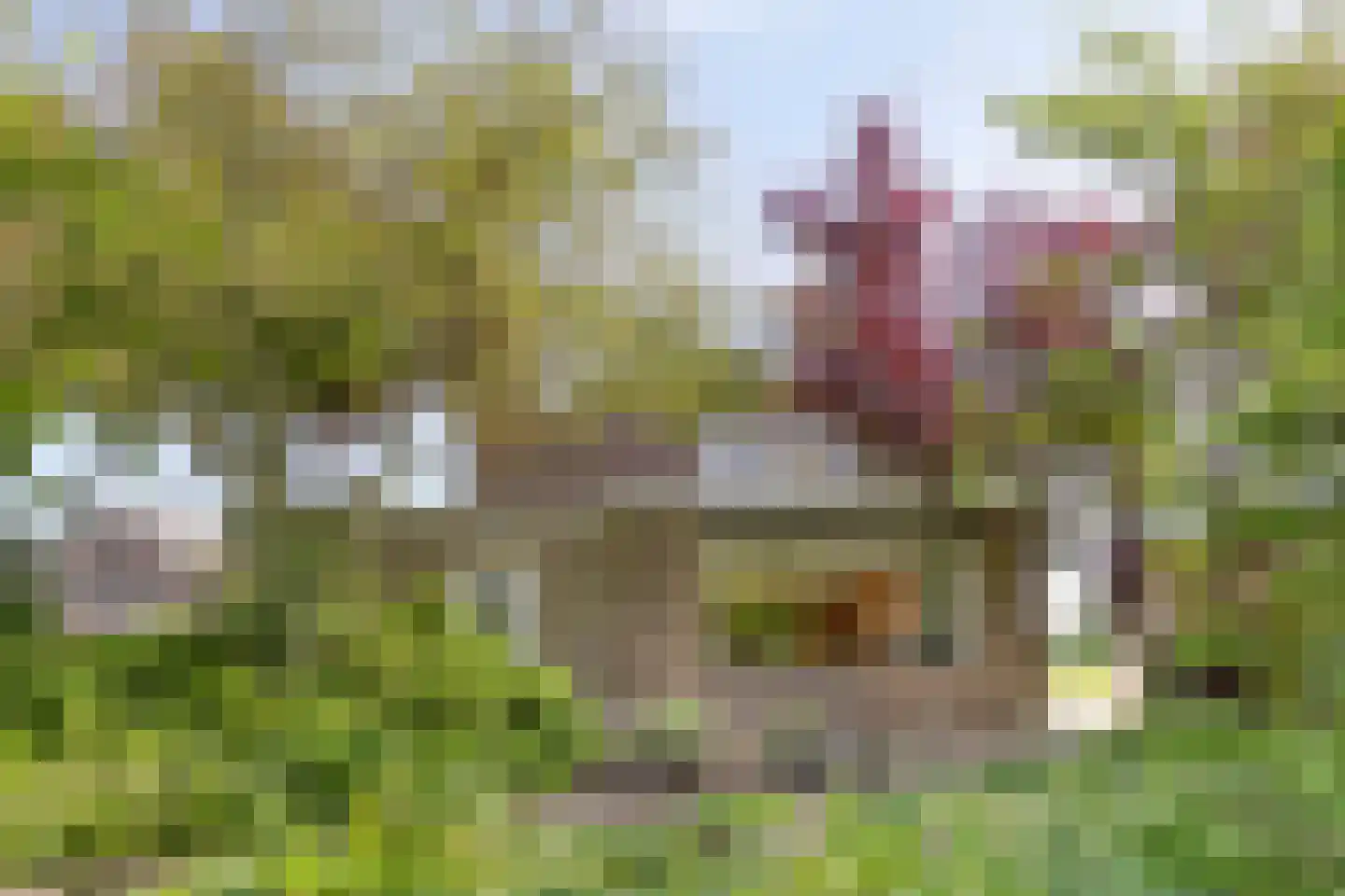 Torenlaan 7 Voorhout thumbnail 4