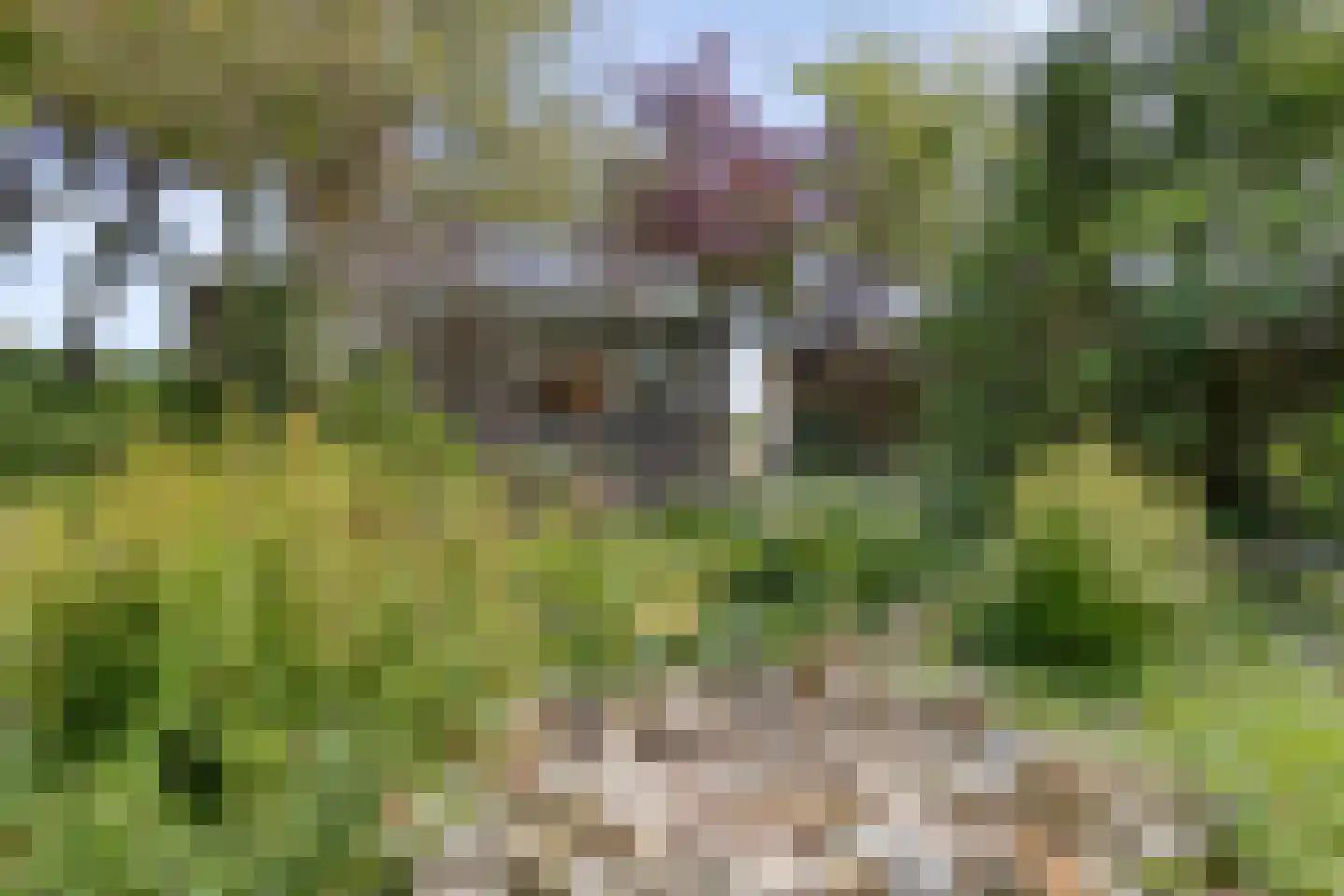 Torenlaan 7 Voorhout thumbnail 40