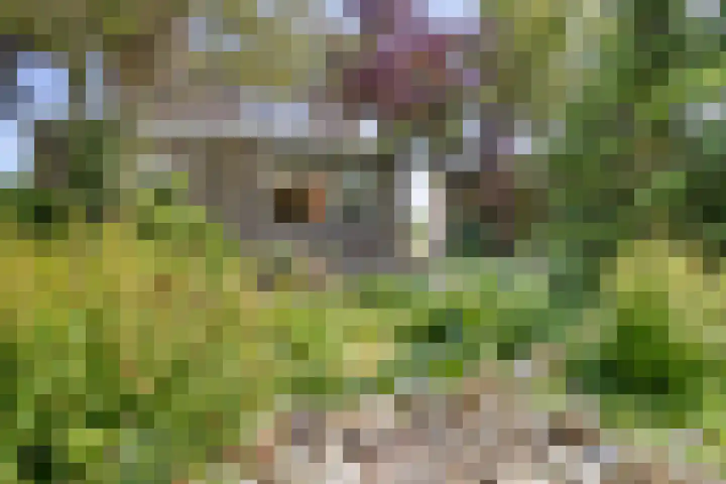 Torenlaan 7 Voorhout thumbnail 41