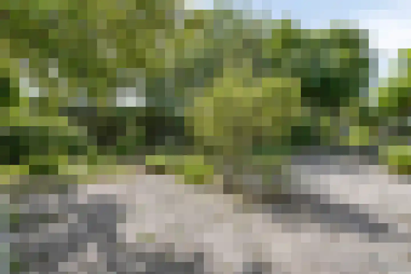 Torenlaan 7 Voorhout thumbnail 43
