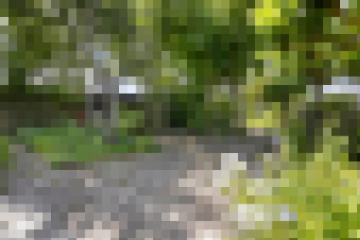 Torenlaan 7 Voorhout thumbnail 46