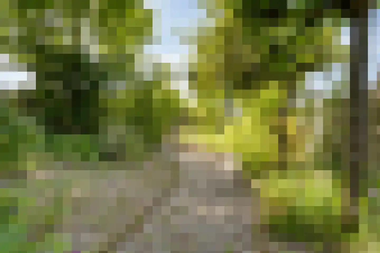 Torenlaan 7 Voorhout thumbnail 47