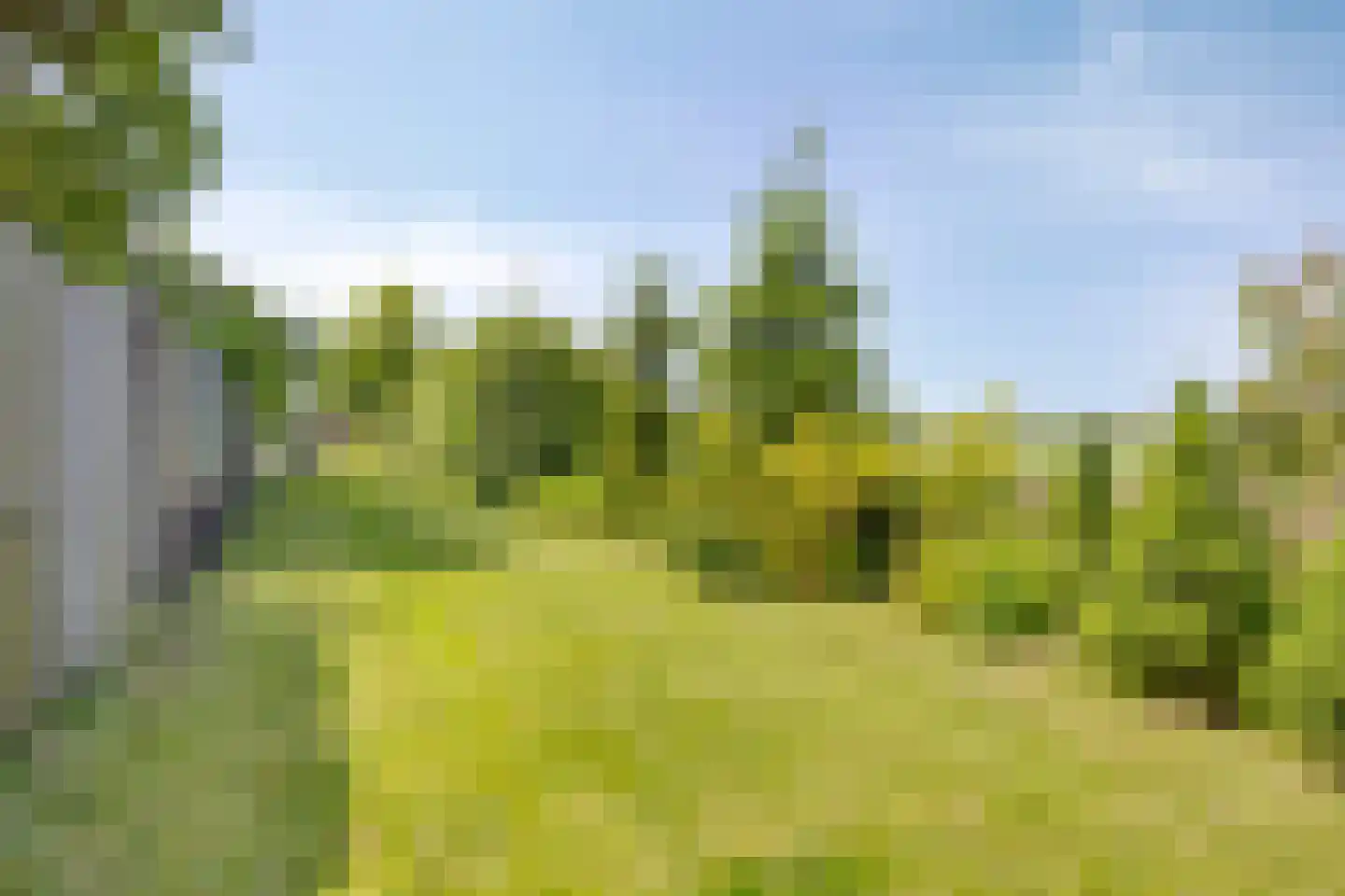Torenlaan 7 Voorhout thumbnail 51