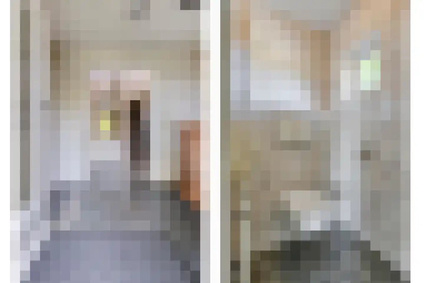 Torenlaan 7 Voorhout thumbnail 6