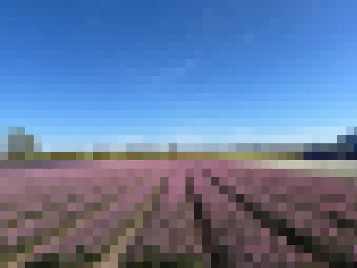 Torenlaan 7 Voorhout thumbnail 80