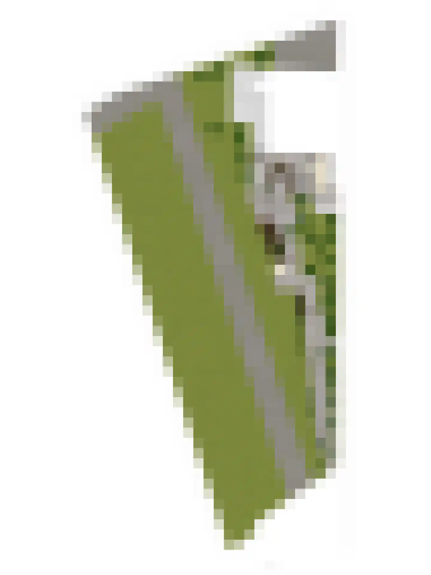 Torenlaan 7 Voorhout thumbnail 84