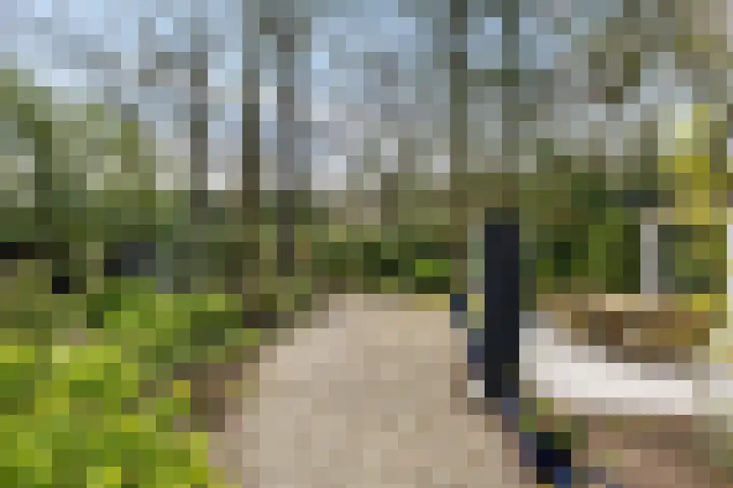 Torenlaan 70 Baarn thumbnail 22