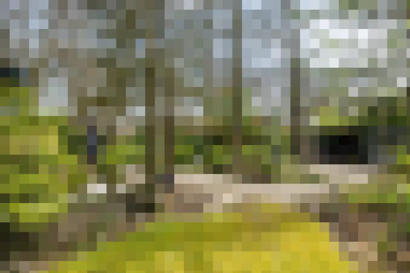 Torenlaan 70 Baarn thumbnail 23
