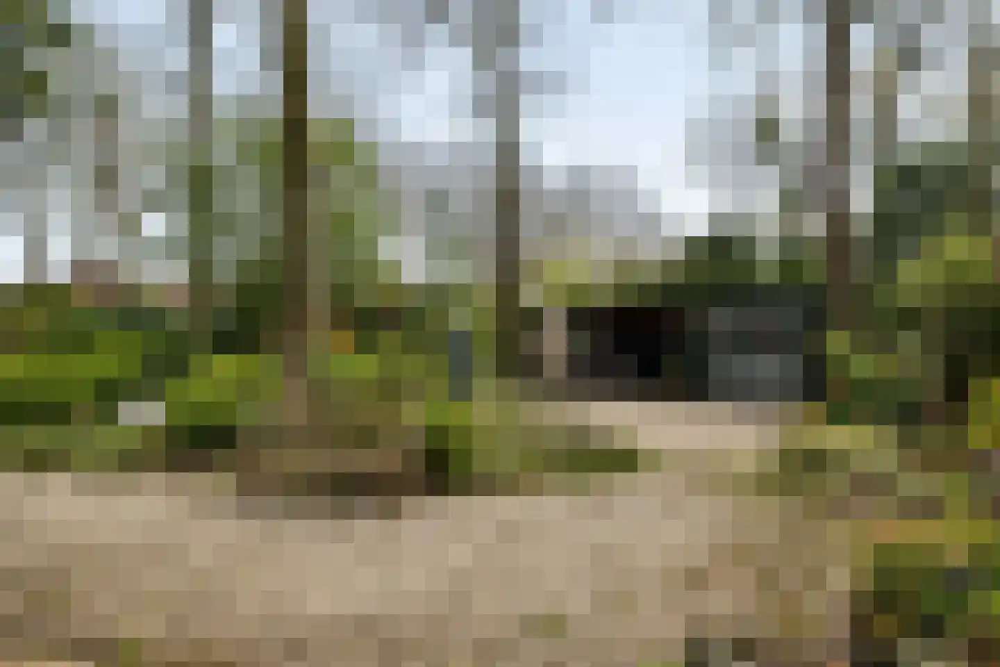 Torenlaan 70 Baarn thumbnail 24