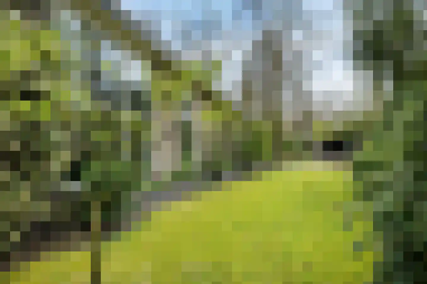 Torenlaan 70 Baarn thumbnail 25