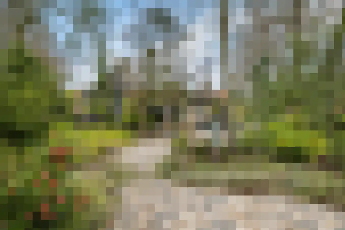 Torenlaan 70 Baarn thumbnail 26