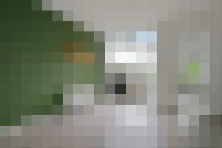 Torenlaan 8 A Zeist thumbnail 10