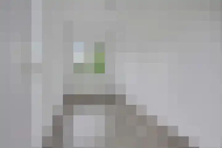 Torenlaan 8 A Zeist thumbnail 11