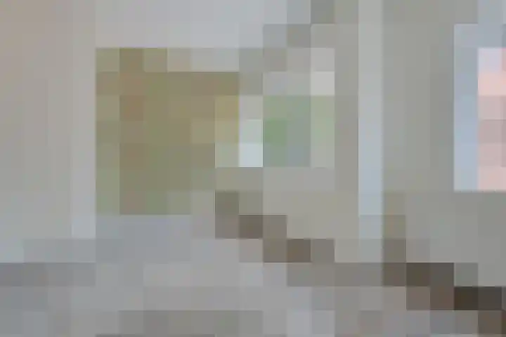 Torenlaan 8 A Zeist thumbnail 21