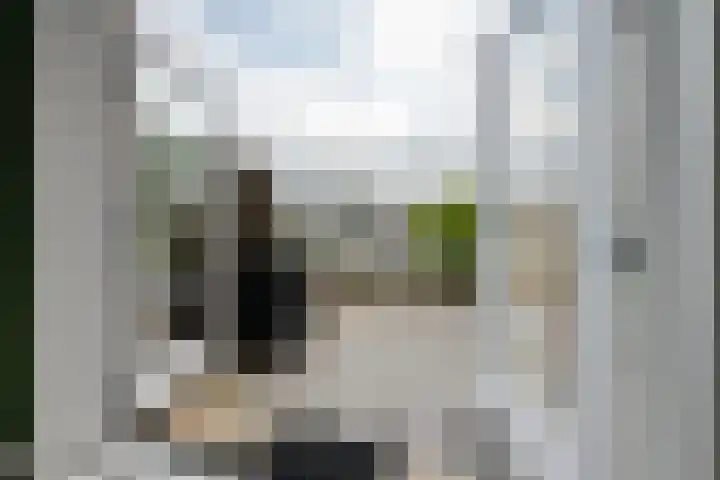 Torenlaan 8 A Zeist thumbnail 22