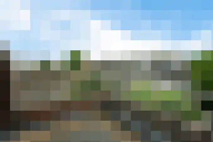 Torenlaan 8 A Zeist thumbnail 25