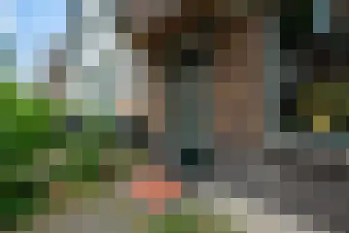 Torenlaan 8 A Zeist thumbnail 4