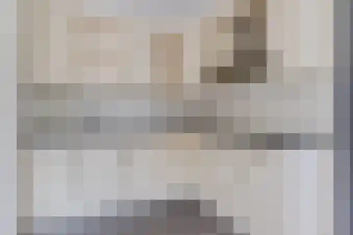 Torenlaan 8 Vledder thumbnail 13