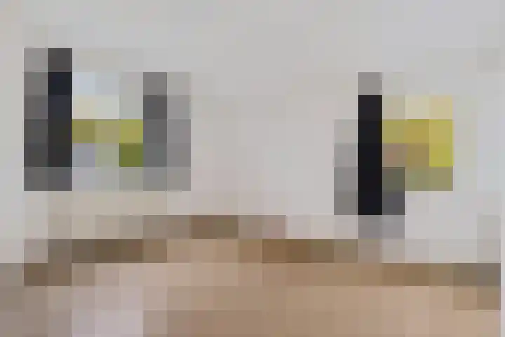 Torenlaan 8 Vledder thumbnail 24