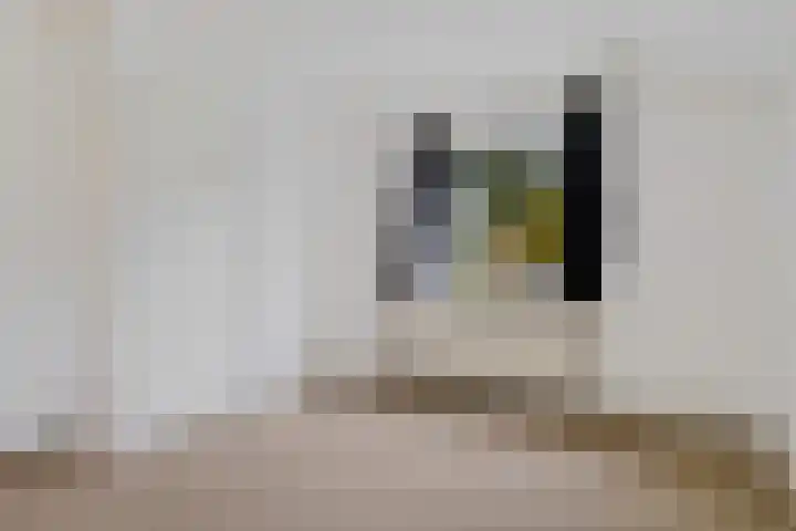 Torenlaan 8 Vledder thumbnail 25