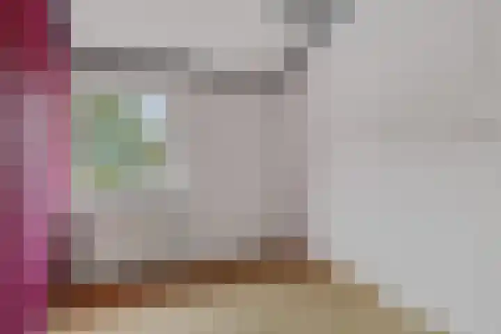 Torenlaan 8 Vledder thumbnail 26