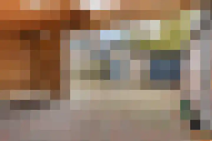 Torenlaan 8 Vledder thumbnail 29