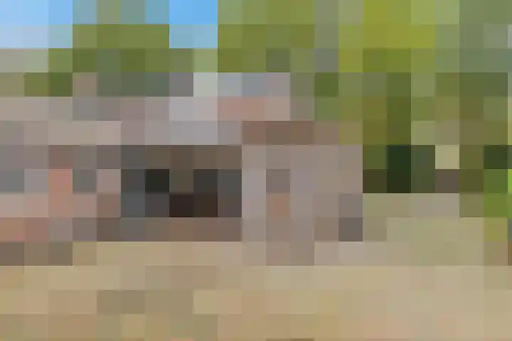 Torenlaan 8 Vledder thumbnail 33