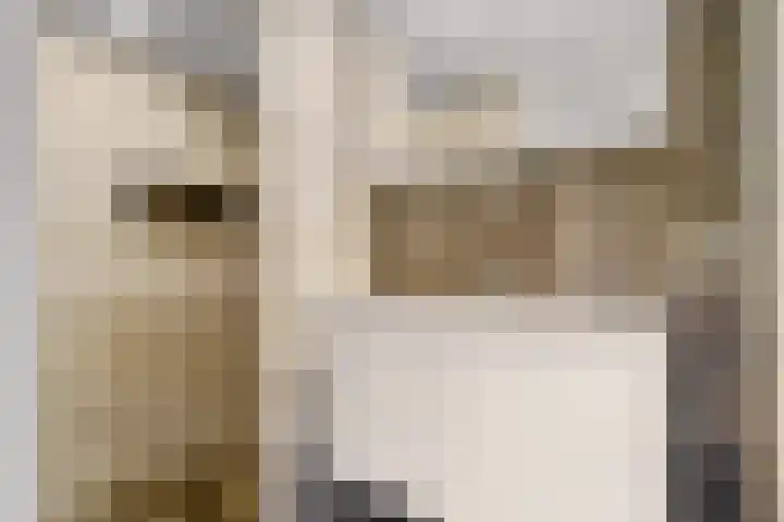 Torenlaan 8 Vledder thumbnail 4