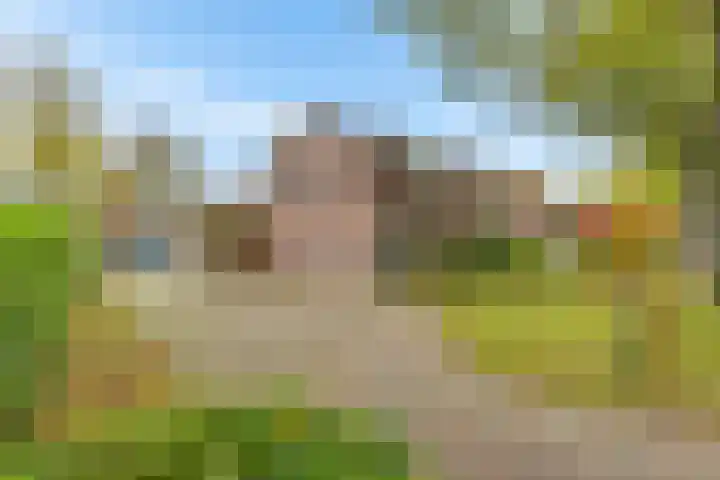 Torenlaan 8 Vledder thumbnail 7