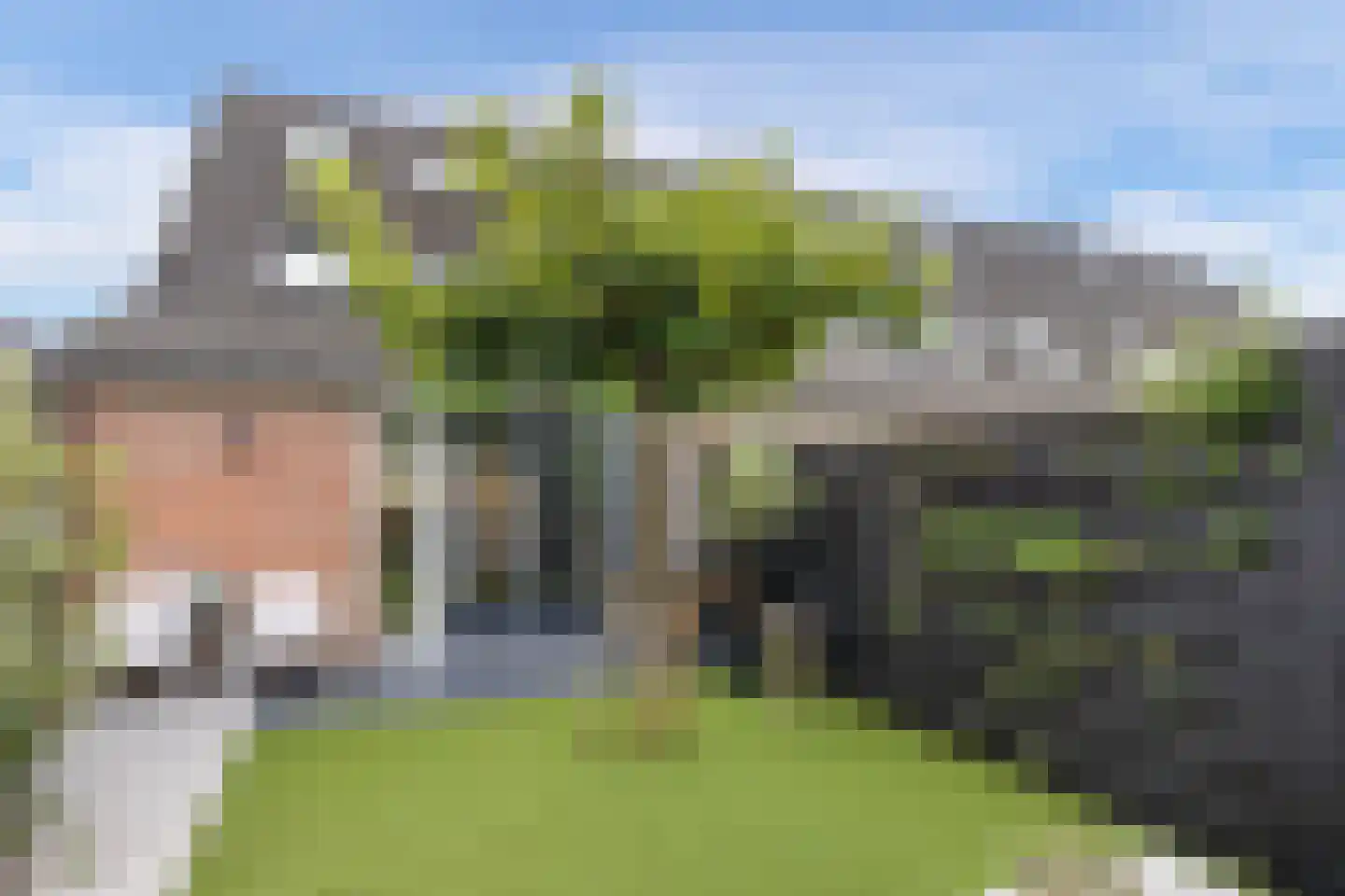 Torenlaan 80 Zuid-Beijerland thumbnail 35