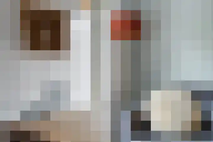 Torenlaan 9 Abcoude thumbnail 12
