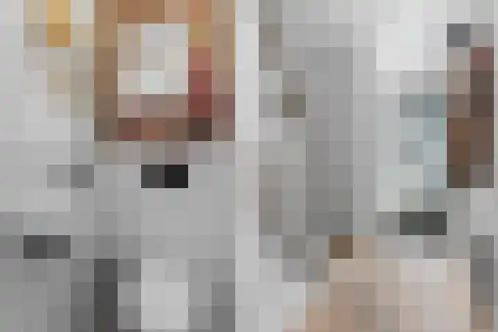 Torenlaan 9 Abcoude thumbnail 21
