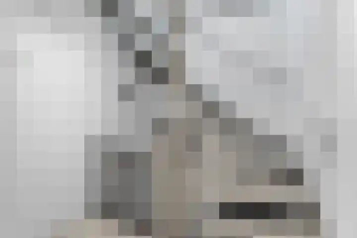 Torenlaan 9 Abcoude thumbnail 31