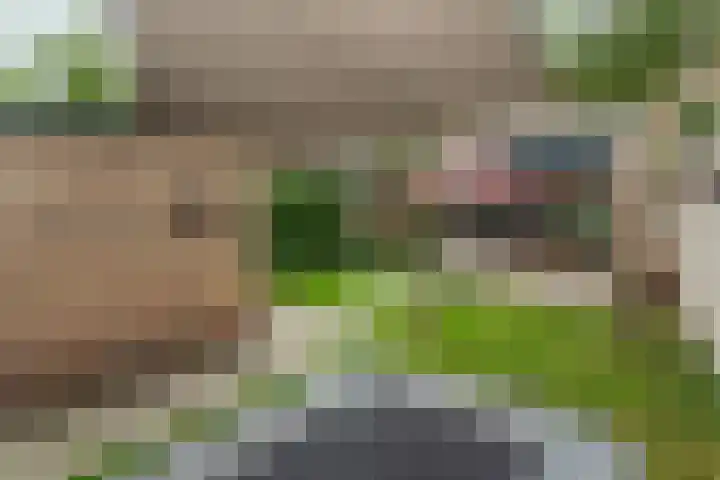 Torenlaan 9 Abcoude thumbnail 37