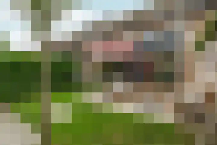 Torenlaan 9 Abcoude thumbnail 38