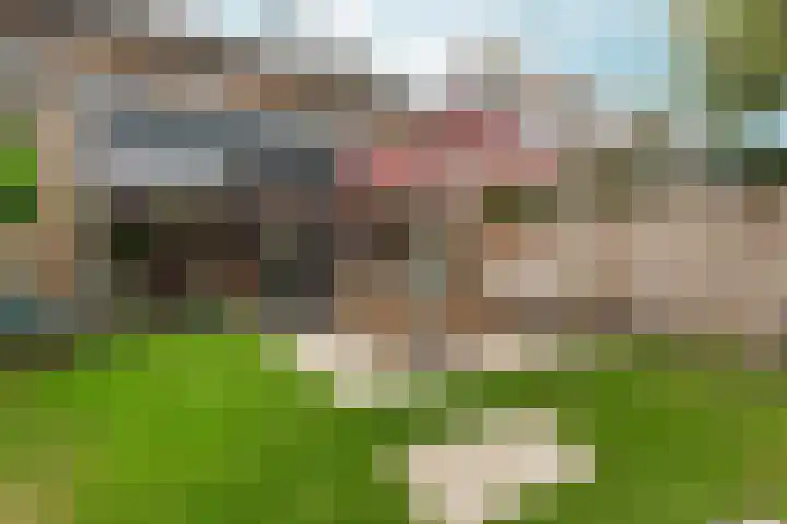 Torenlaan 9 Abcoude thumbnail 4