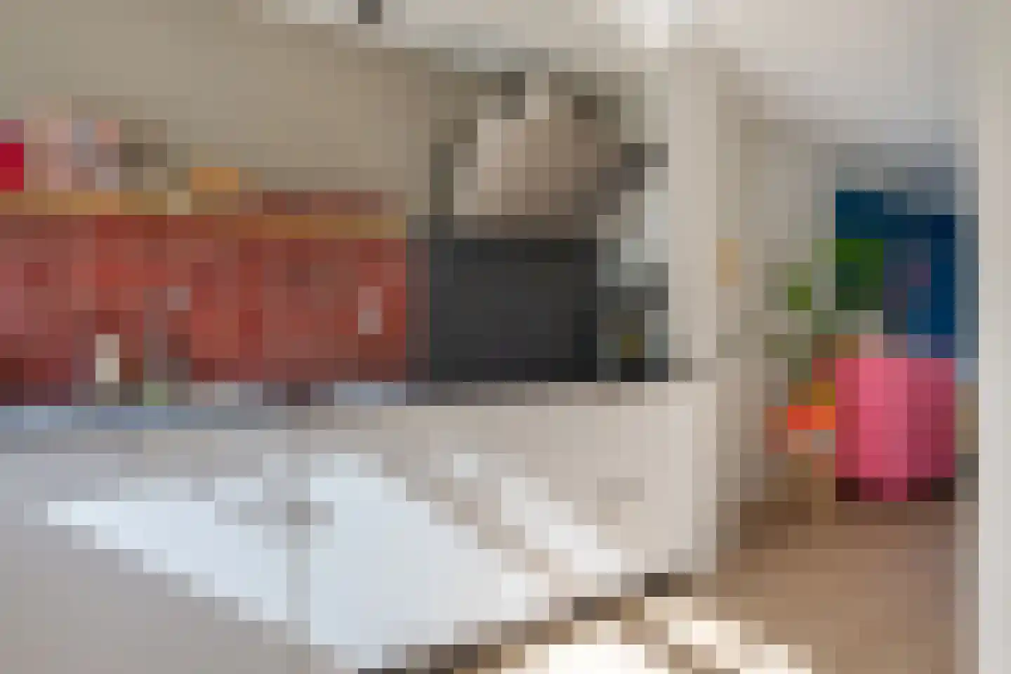 Torenmeesterstraat 24 Zwolle thumbnail 18