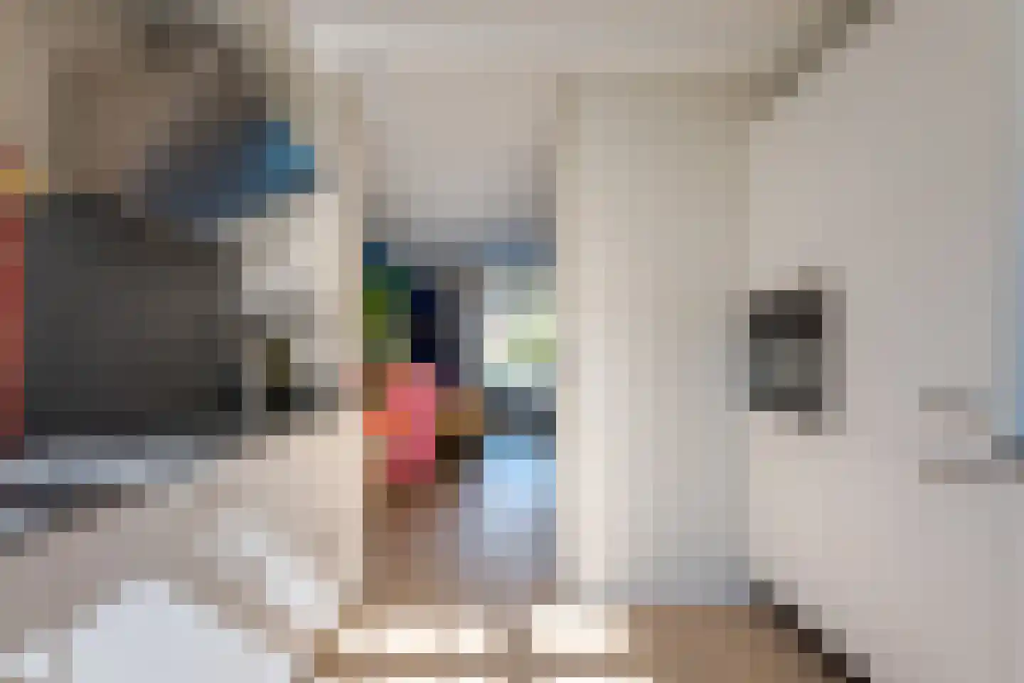 Torenmeesterstraat 24 Zwolle thumbnail 19