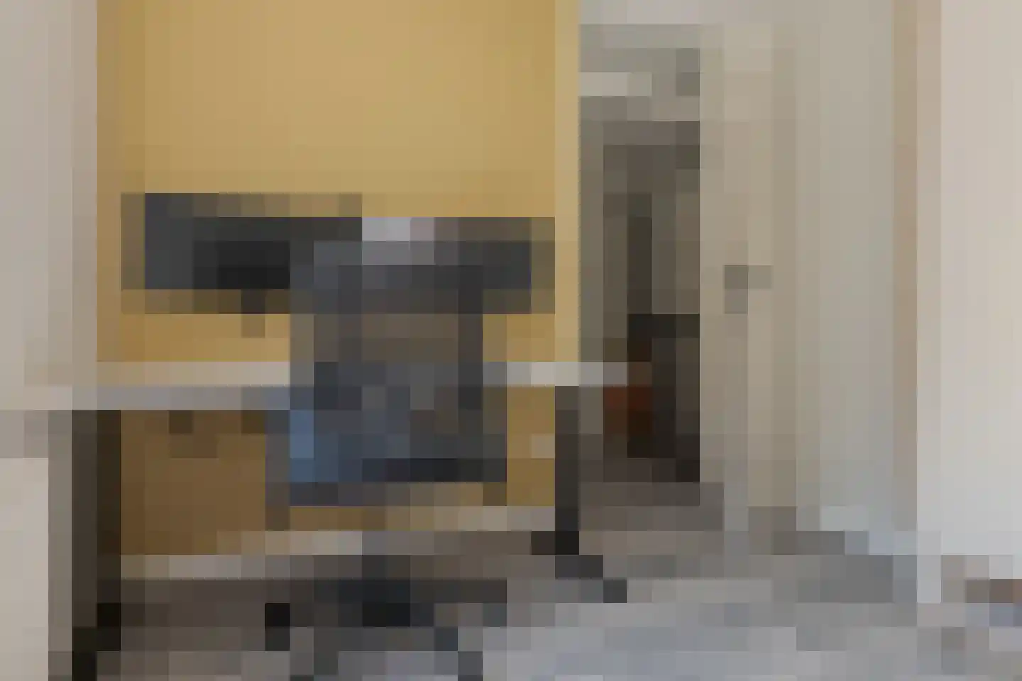 Torenmeesterstraat 24 Zwolle thumbnail 39
